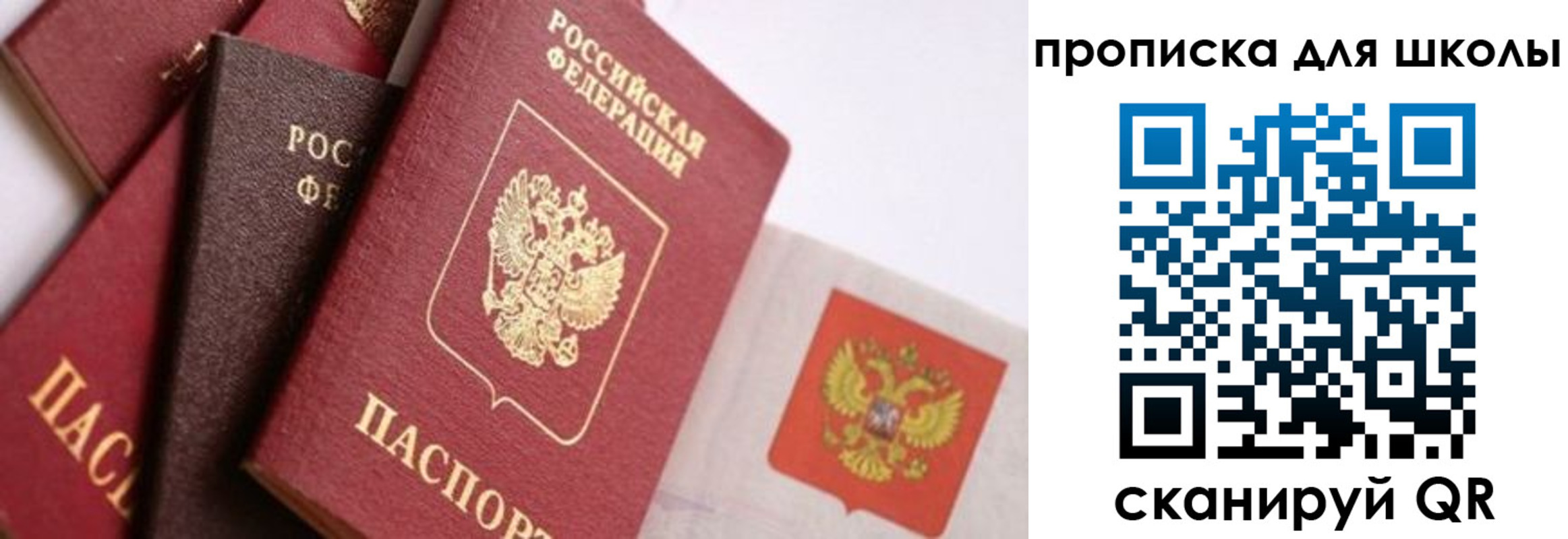 прописка поиск в Воронежской области